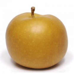 Pomme Canada 2024