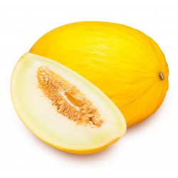 Melon jaune