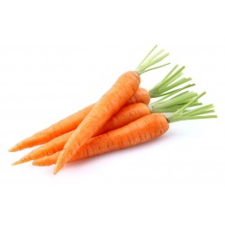Carottes nouvelles